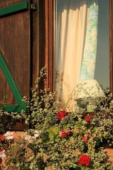 Flower box on the house window with shutters – Belgian village