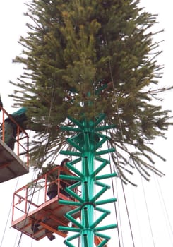 new-year tree on the central area of kyiv