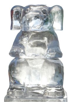 the ice sculpture of  elephant 1