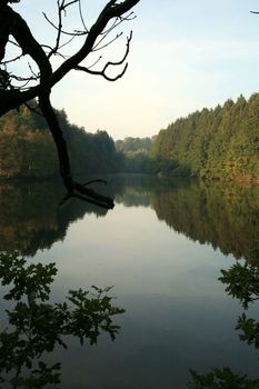 Robertville Lake in Ardennes Mountain – mirror - Belgium