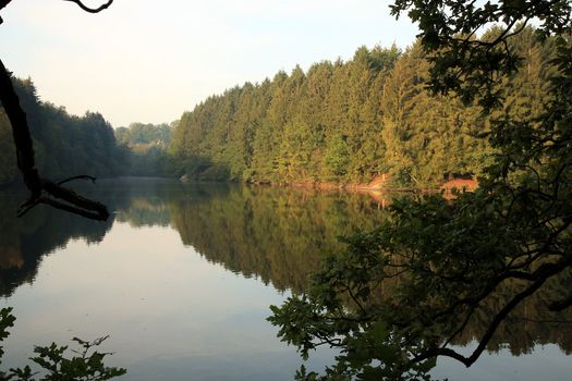 Robertville Lake in Ardennes Mountain – mirror - Belgium