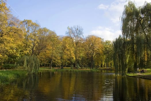 The view of atumn landscape in the park