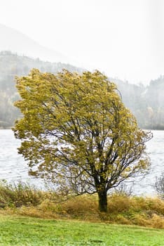 Stormy weather at autumn!