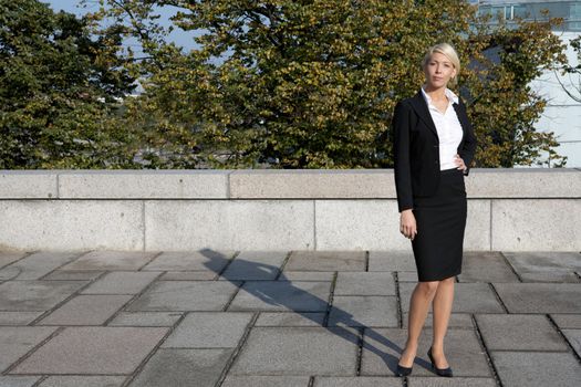 Young businesswoman standing, looking at camera