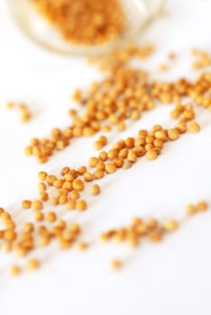 scattered mustard seeds over white background macro