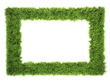 grass frame isolated on a white background