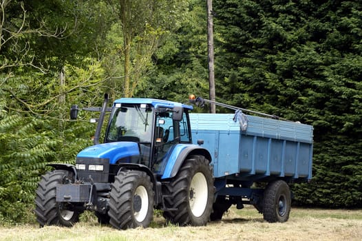 the harvest of colza with machines like a reaping-machine threshing-machine and tractor