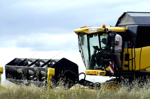 the harvest of colza with machines like a reaping-machine threshing-machine and tractor