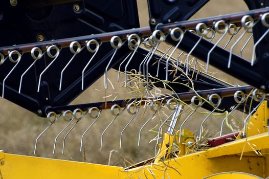 the harvest of colza with machines like a reaping-machine threshing-machine and tractor
