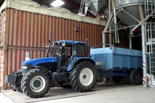 the harvest of colza with machines like a reaping-machine threshing-machine and tractor