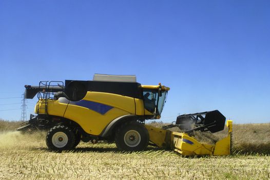 the harvest of colza with machines like a reaping-machine threshing-machine and tractor