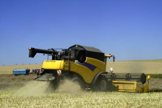 the harvest of colza with machines like a reaping-machine threshing-machine and tractor