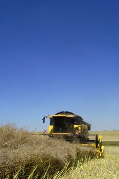 the harvest of colza with machines like a reaping-machine threshing-machine and tractor