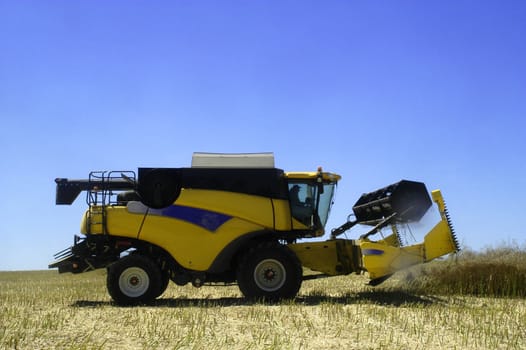 the harvest of colza with machines like a reaping-machine threshing-machine and tractor