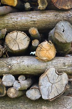 Close up shot of stacked logs