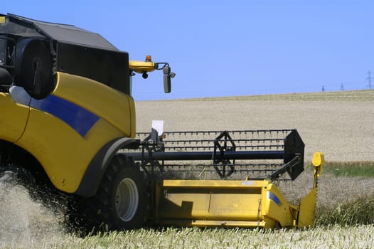 the harvest of colza with machines like a reaping-machine threshing-machine and tractor