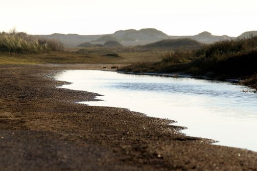 wetland near the Ormond Beach california oxnard