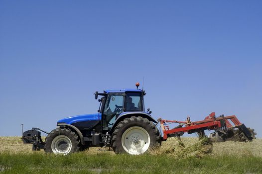 the harvest of colza with machines like a reaping-machine threshing-machine and tractor