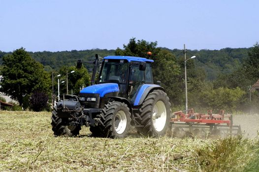 the harvest of colza with machines like a reaping-machine threshing-machine and tractor