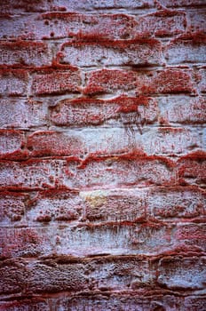 Background in style grunge. Wall in a red mouldy