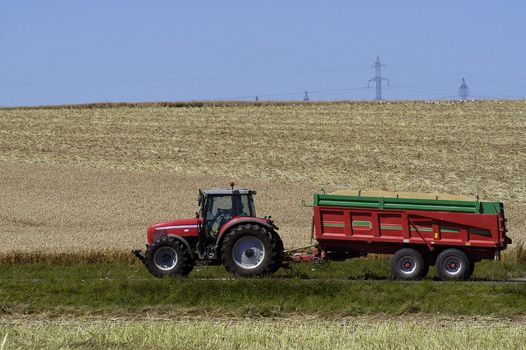 the harvest of colza with machines like a reaping-machine threshing-machine and tractor