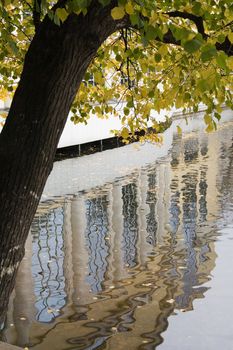Reflection in pond water, autumn, yellow leaves