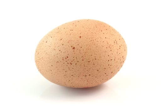 egg with spots isolated on white background food concepts