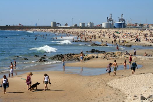 crowded beach in the summer