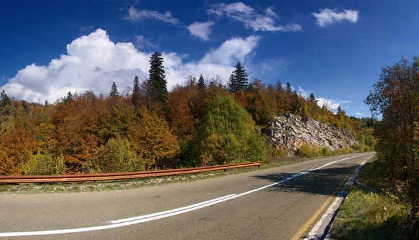 empty road goes through autumn forest over blue sky