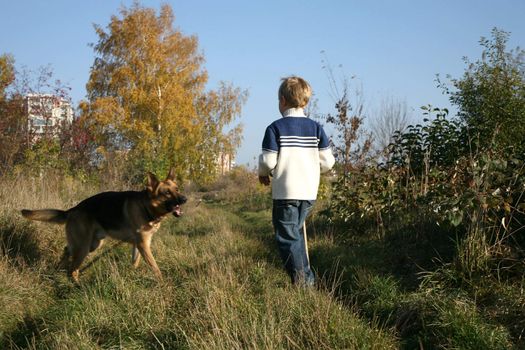 Little boy on the walk with the big, obedient dog (German Shepherd ) on suburb of the city.