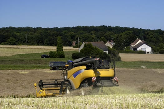 the harvest of colza with machines like a reaping-machine threshing-machine and tractor