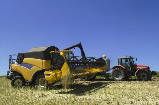 the harvest of colza with machines like a reaping-machine threshing-machine and tractor