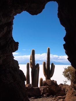 View through an opening in the rocks on giant cactus and the Salar de Uyuni salt lake near Uyuni, Bolivia. The cactus live on the island Isla del Pescado or Isla Incahuasi inside the Salar.