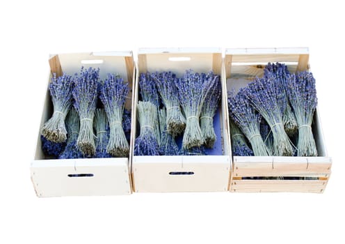 bouquets of lavender in crate