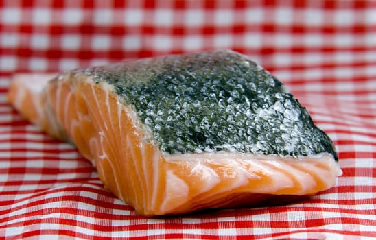 a piece of salmon