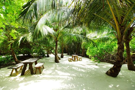 tropical cafe on the background of a  palm trees and sky and sea