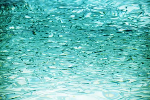many small fish in the clear water of the ocean