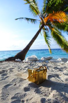 golden gift on ocean beach under palm