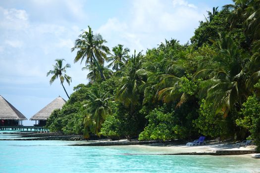 tropical island in blue sea