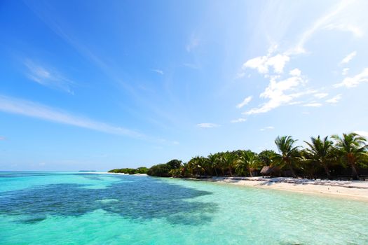 tropical island in blue sea