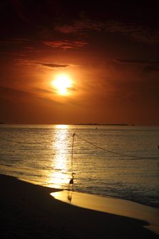 sunset on the sea beach