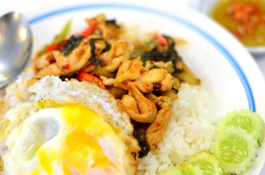 Thai food Rice and basil. Thai food, chicken ,eggs fried with chilli pepper and sweet basil.