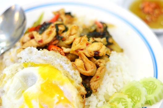 Thai food Rice and basil. Thai food, chicken ,eggs fried with chilli pepper and sweet basil.