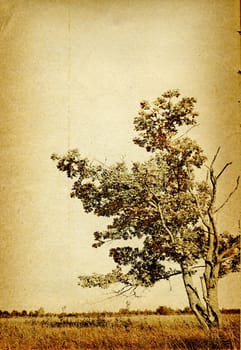 grunge background