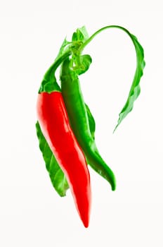 two bitter chili with red and green leaves against a white background