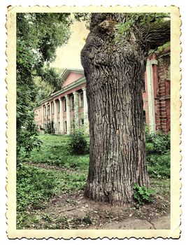 aging photography