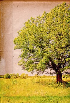 grunge background