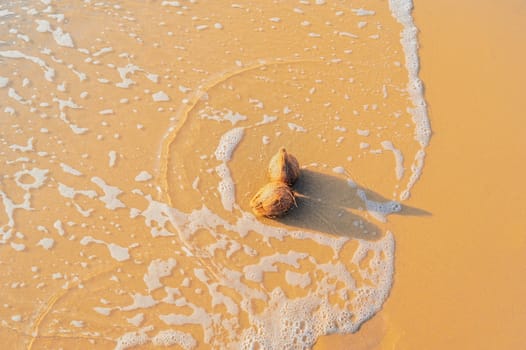 Sea waves sandy beach and two coconut