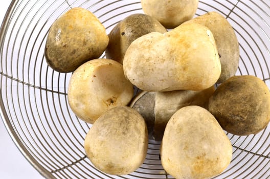 fresh straw mushrooms  on sieve