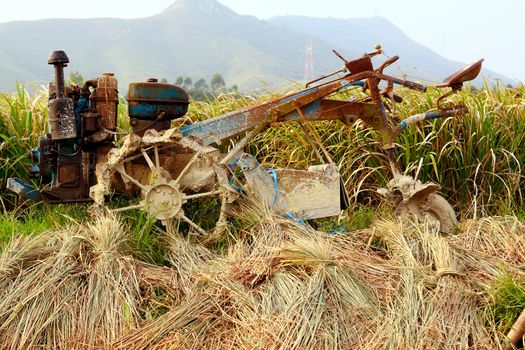 tractor on rice farm